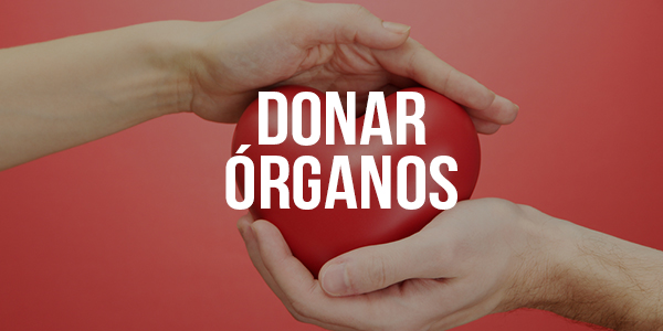 Es pecado donar órganos? - Enlace Es pecado donar órganos? - Enlace