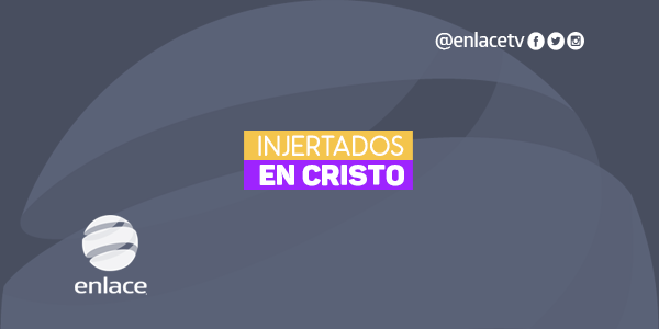 Injertados en Cristo