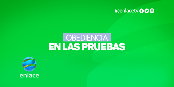 Obediencia en las pruebas
