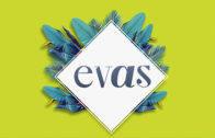 Evas – Nuevo Programa