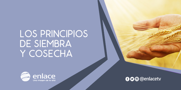 Los principios de siembra y cosecha