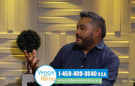 ¿Ángeles caídos o demonios? – Dr. Armando Alducin – Enlace TV