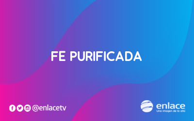 Fe purificada