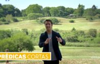 Aquí Entre Nos – Resumen de Maratónica de Mayo – Escojo caminar en la verdad.