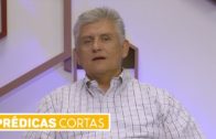Dr. Armando Alducin – ¿Hay vida después de la muerte? – Enlace TV
