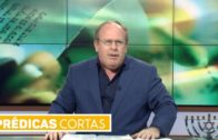 ¿Israel firmará un pacto con el Anticristo? – Dr. Armando Alducin – Enlace TV