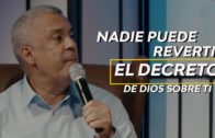 El feminismo y la Palabra: 8M imagen, dignidad y diseño