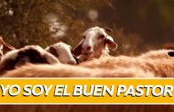 El feminismo y la Palabra: 8M imagen, dignidad y diseño
