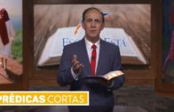 Cierre y final de Maratónica Febrero 2025 – Yo sé en quién estoy creyendo – Enlace TV