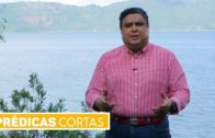 El feminismo y la Palabra: 8M imagen, dignidad y diseño