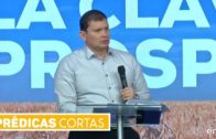 El feminismo y la Palabra: 8M imagen, dignidad y diseño