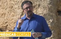 ¿Ángeles caídos o demonios? – Dr. Armando Alducin – Enlace TV