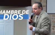 VERDADES Y PROFECÍAS BÍBLICAS