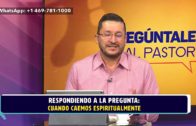¿Ángeles caídos o demonios? – Dr. Armando Alducin – Enlace TV