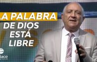 El feminismo y la Palabra: 8M imagen, dignidad y diseño