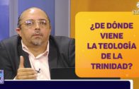Nuestra naturaleza pecaminosa – Dr. Armando Alducin – Enlace TV