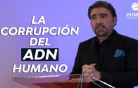 Armando Alducin – ¿Porqué es tan importante conocer el APOCALIPSIS?- A. Alducin responde- Enlace TV