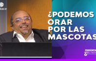 VERDADES Y PROFECÍAS BÍBLICAS