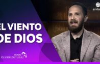 Palabras Bíblicas de Sanidad Y Milagros – Juanita Cercone – Enlace TV