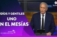 las naciones unidas y babilonia – Armando Alducin responde – Enlace TV